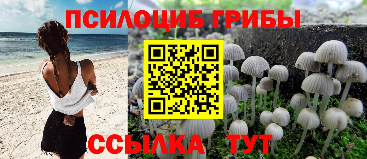 Галлюциногенные грибы GOLDEN TEACHER  как найти   Вход с VPN  Кстово  Псилоцибиновые грибы мицелий 